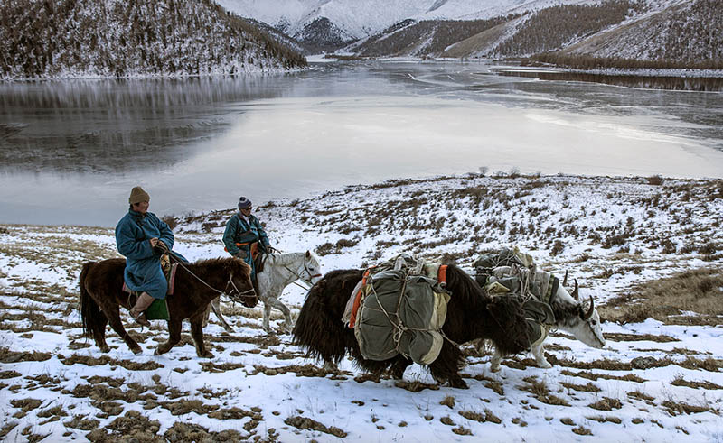 mongolia nomads in winter 